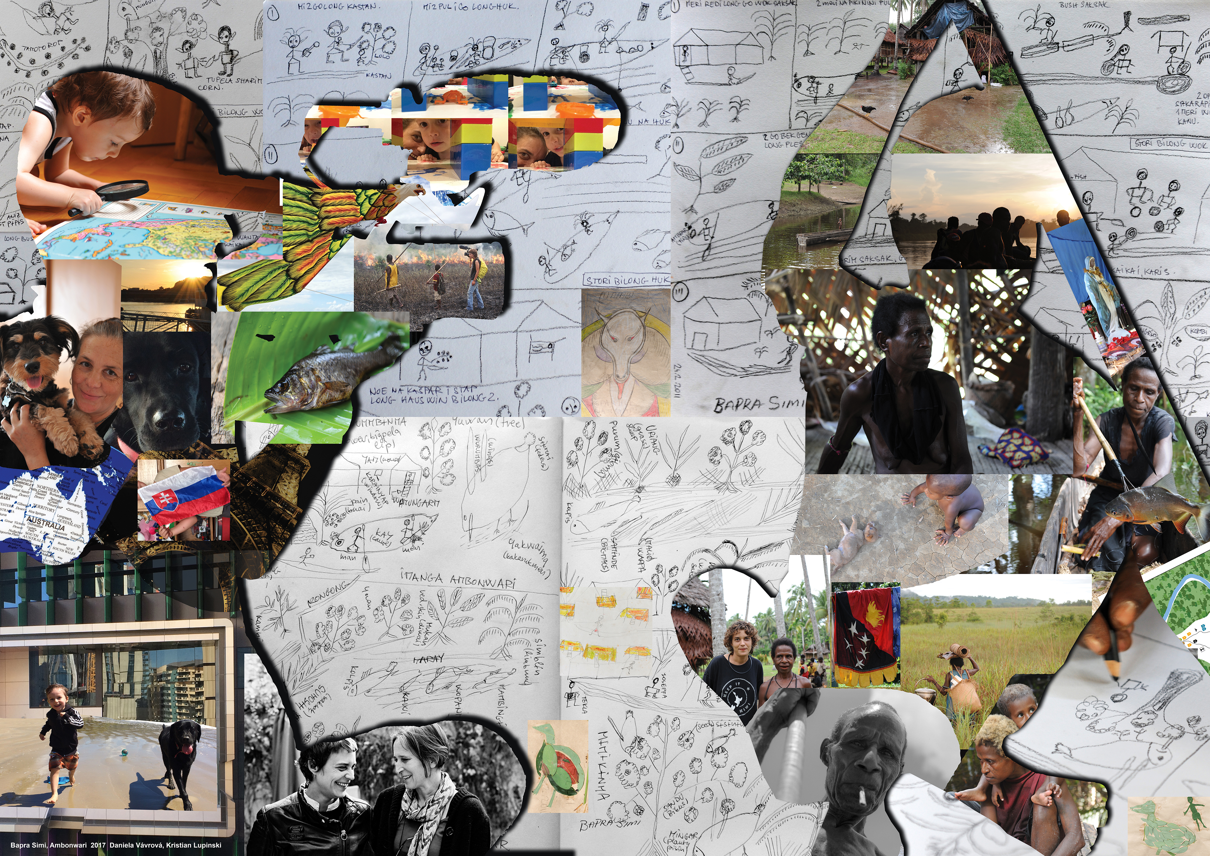 DV poster IMPACT small